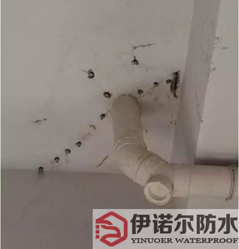 姑蘇蘇州防水工程的基本內(nèi)容是什么？